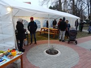 Rozsvícení stromečku u MŠ